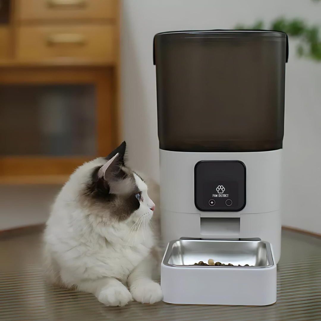 Paw District™️ Automatic Pet Feeder + Fountain